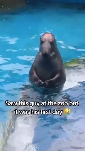 Первый день на работе