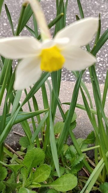 Утро 29 апреля