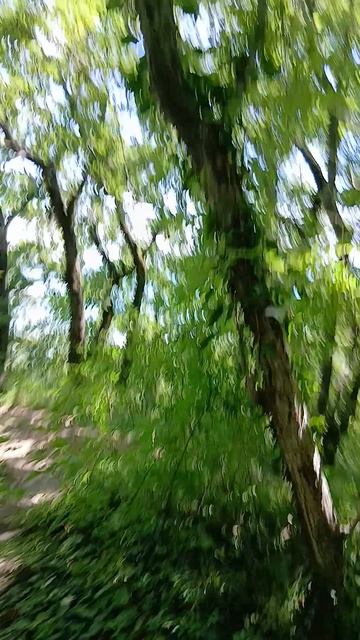 Отметка 6000 на тропе здоровья терринкур на горе Медведь в Архипо-Осиповке