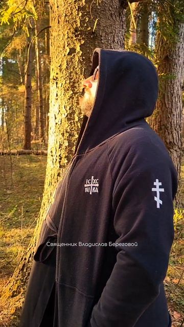 Реальность слишком тяжела для людей, поэтому они берут в аренду иллюзию и называют ее счастьем