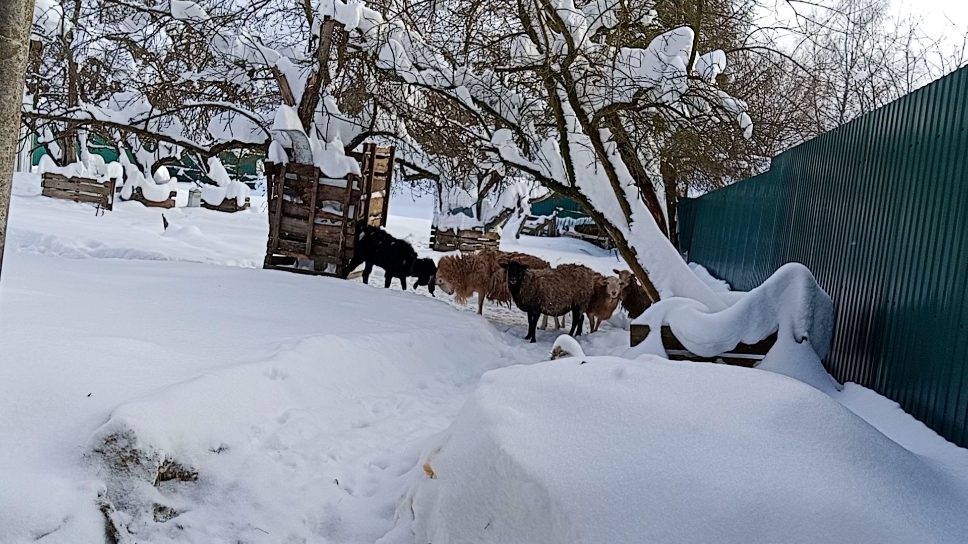 Прошедшей зимой