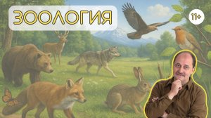 ЗООЛОГИЯ_15