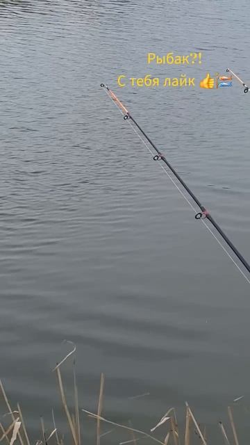 #астраханьрыбалка #рыбалка #икряное