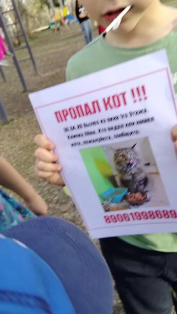 Внимание потерялся кот кто видел позвоните на номер +7 991 508 -59-76