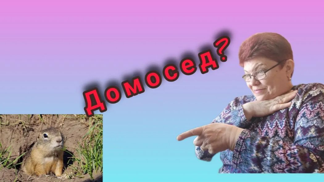 Нарастет капусточка😅 Суслик Домосед😅