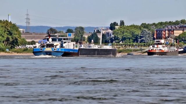 Как В. Путин встречал А. Аракчи. Трамп в тупике, Россия забирает выигрыш.