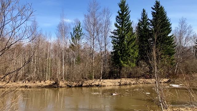 Весна. Кантат. 30 апреля 2026.