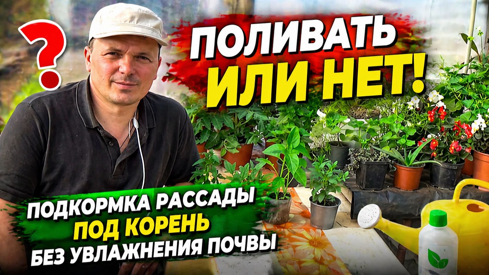 ПОЛИВАТЬ ИЛИ НЕ НАДО РАССАДУ ПЕРЕД ПОДКОРМКОЙ