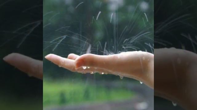 VID_20260430_023805_855.mp4