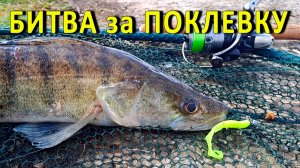 🔥 КАПРИЗНЫЙ весенний СУДАК. Поймай, если сможешь! 🔥