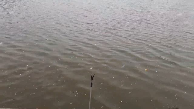 поимка форели