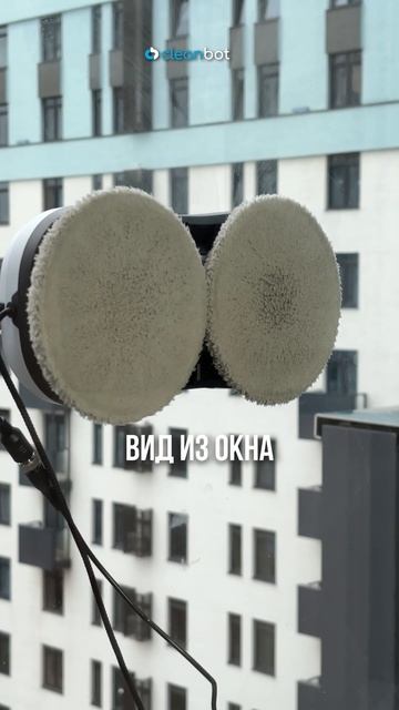 Как вы проводите свой идеальный выходной?