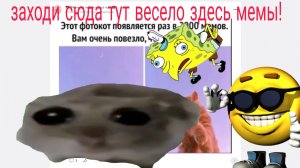 мемы про ркн сон и ТД.
