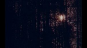 Термодинамика биологических процессов