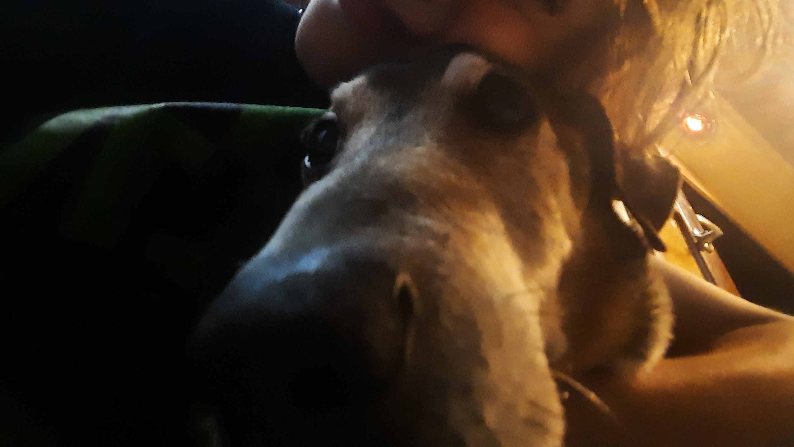 общаемся и угараем