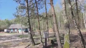 Жизнь кипит необычное всё интересный приплод дизайн дома наполнение пруда посадка картошки