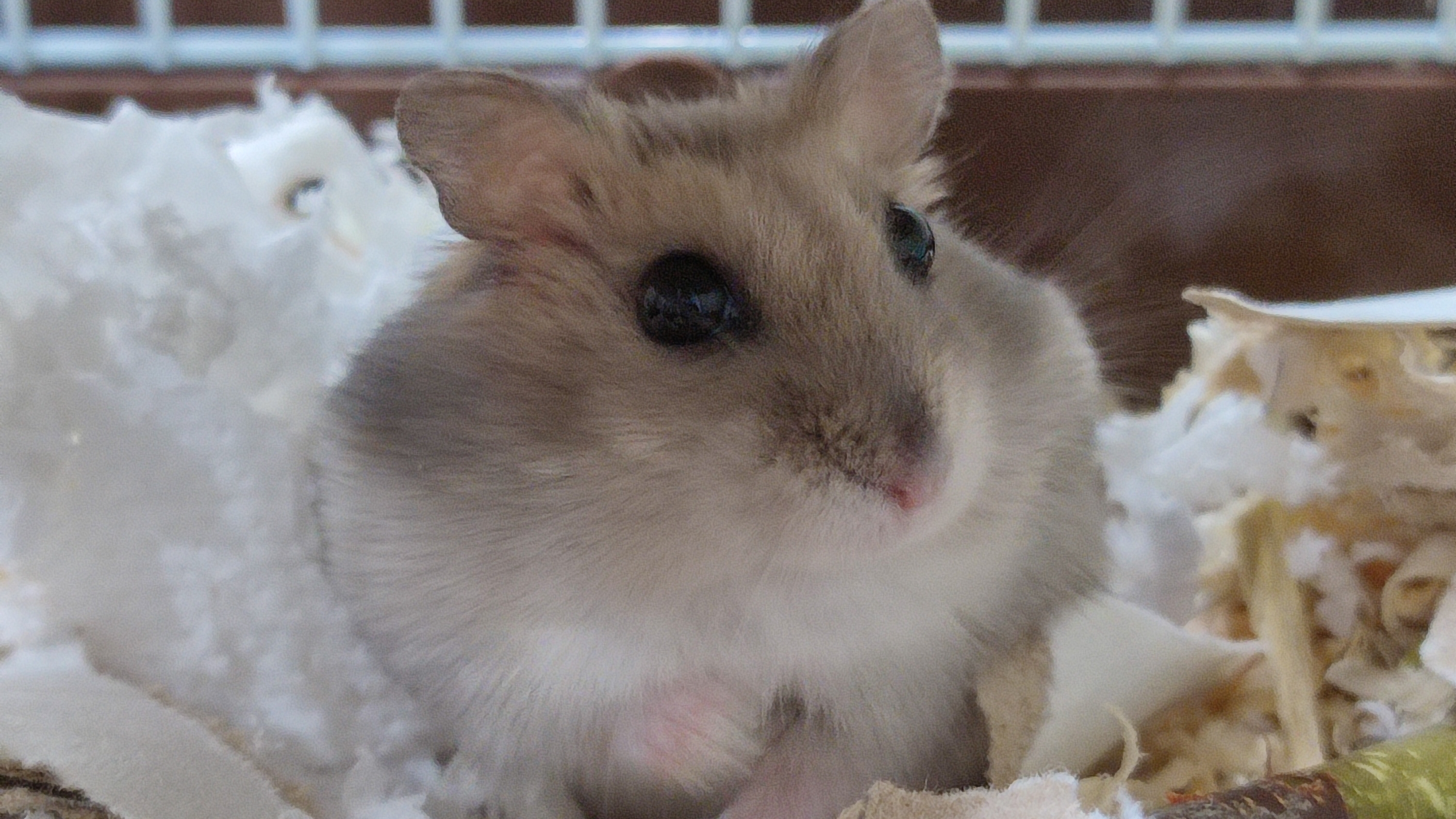 ХАХАХАХ😍🌪💋