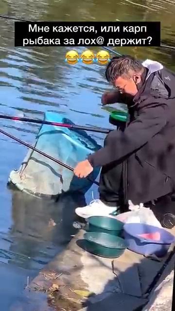 Videoplayback - 2026-04-30T202217.499