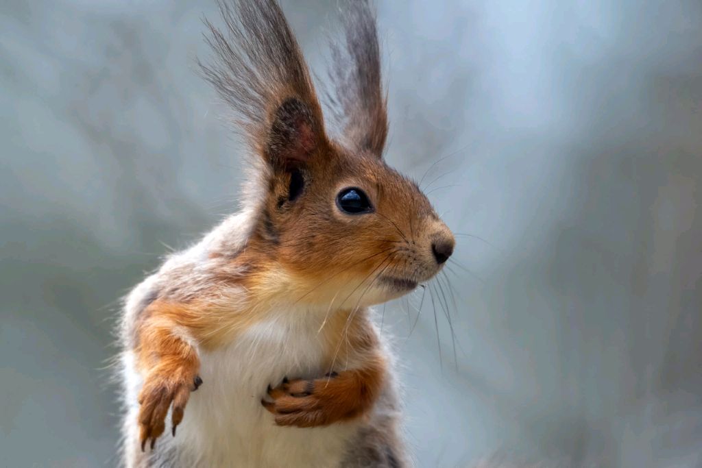 всем привет