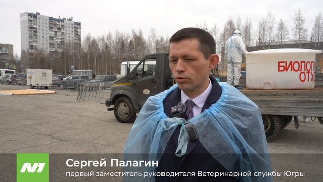 Тренировка по ликвидации птичьего гриппа в Нижневартовске