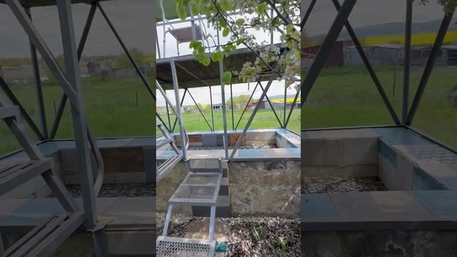 Дача дубрава