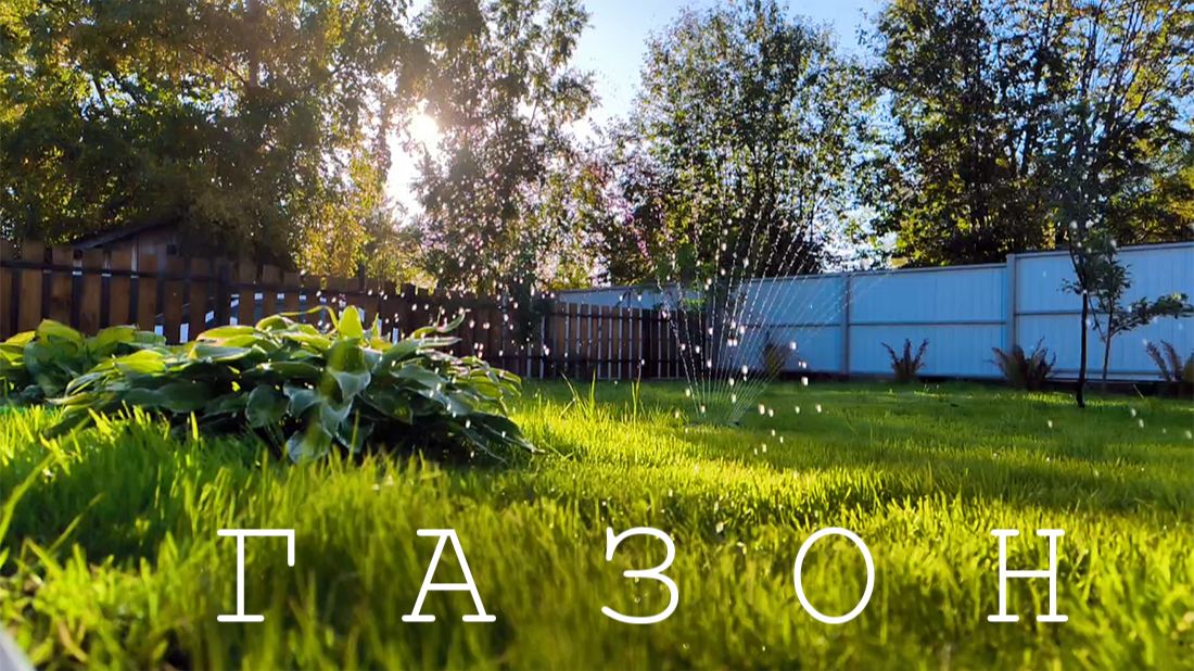 Газон