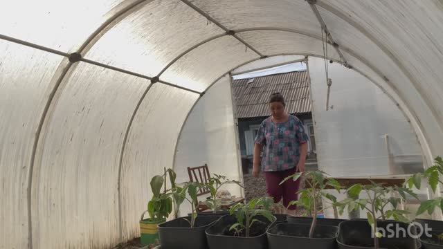 Высадила в холодную землю