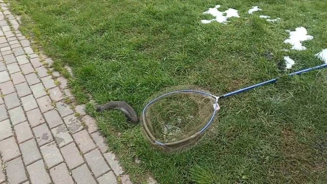 VID_20260430_142828_585