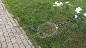 VID_20260430_142828_585