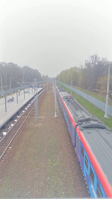 эп2д 287 рекс