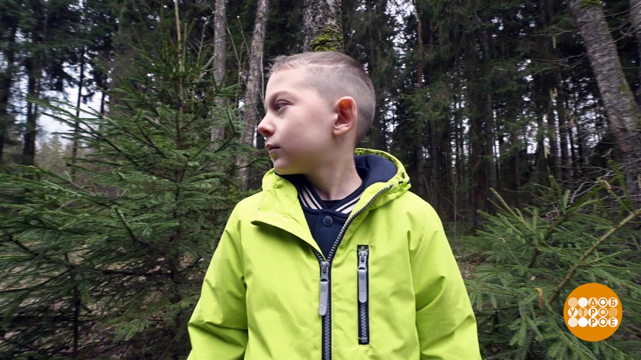 Помогаем ребенку, который потерялся в лесу. Доброе утро. Фрагмент выпуска от 30.04.2026