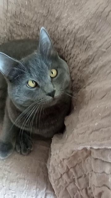 VID_20260430_101923 (1)