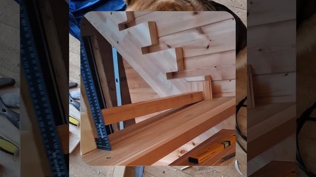 1000057340.mp4 Собака наблюдает за устройством лестницы на 2-ой этаж в доме А-фрейм