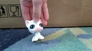 топ пять моих любимых LPS и информация!!!!!