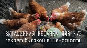 МЕШАНКА для кур: рецепт с кормовыми дрожжами, серой, мёдом и овощами 🐓👍