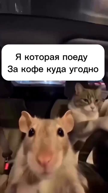 ❤️🔥❤️🔥❤️🔥