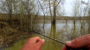 Почти критический уровень в реке. Но рыба ловиться.