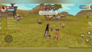 Сябоаоаоао за 222 котиков и кошечек в племени!)🩷🌸