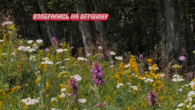 Притча Путь к мудрости .