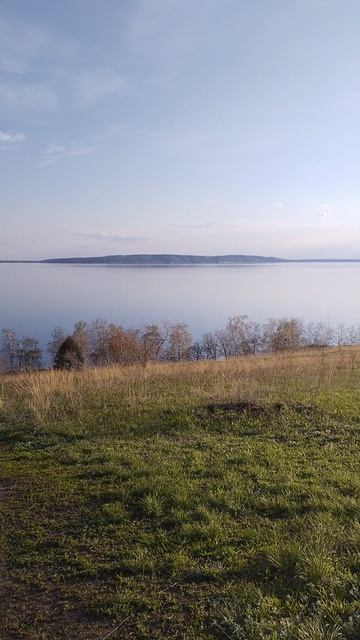 Шашлычная погода