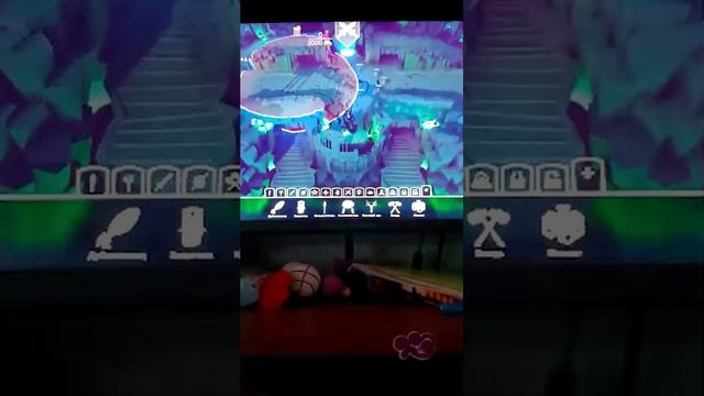 Dezi Adckeri Corector