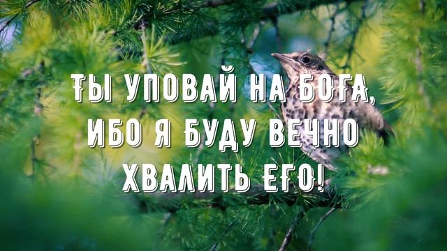 Как лань желает - минус мой 2