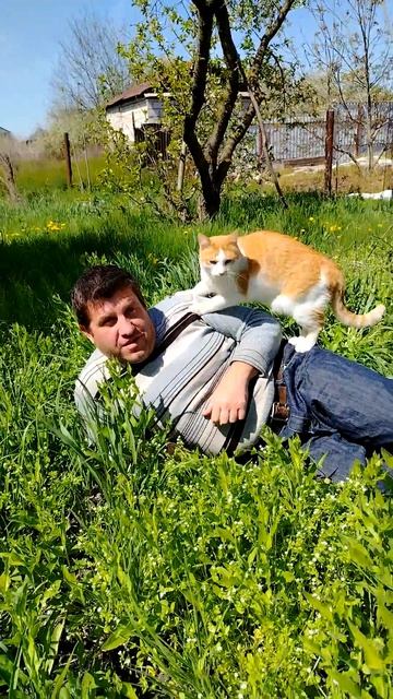 Кот пришёл на дачу.