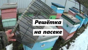 Применение разделительной решётки на пасеке