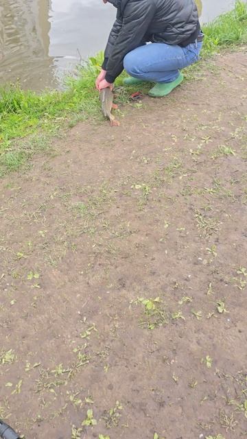 1000146610.mp4