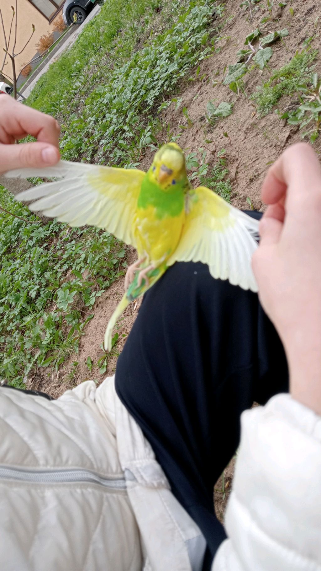 пж подпишись