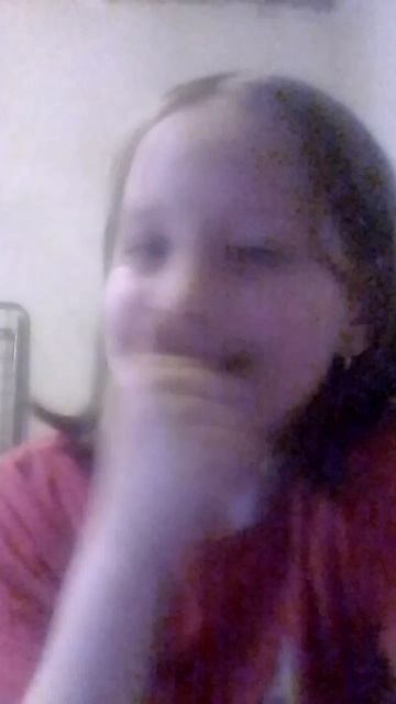 собака поцарапала дверь