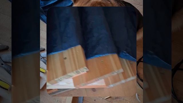 1000057336.mp4 Собака наблюдает за устройством лестницы на 2-ой этаж в доме А-фрейм