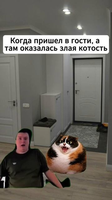 сериал котость часть 9