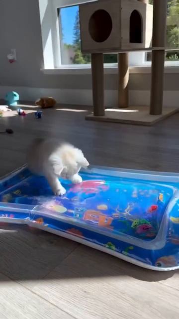 Водный сенсорный игровой коврик с датчиком.